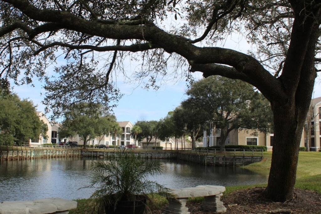 Pond at Florida's Belleza Condominiums.