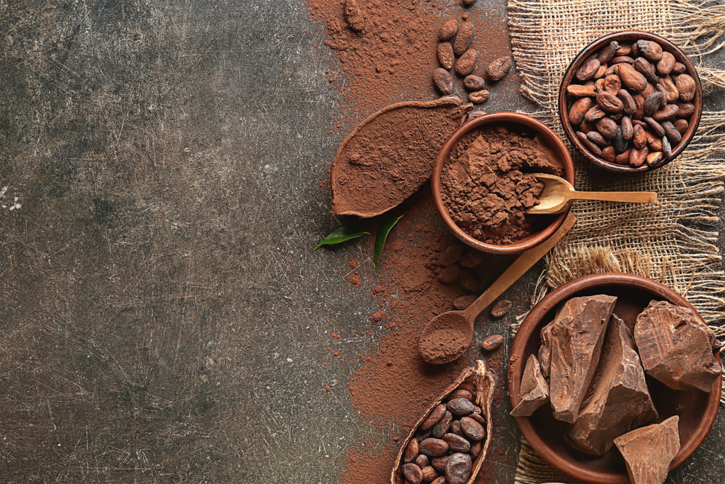 Bowls of cacao beans and powder on a gray countertop.