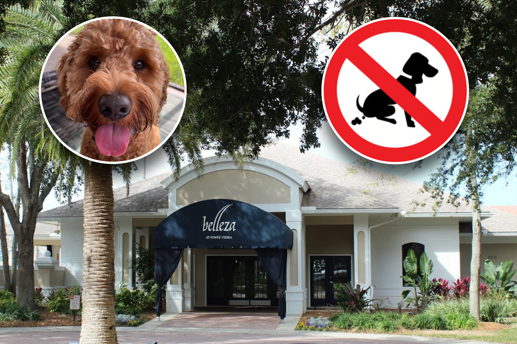 Belleza Condominiums in Ponte Vedra Beach with a dog inset.