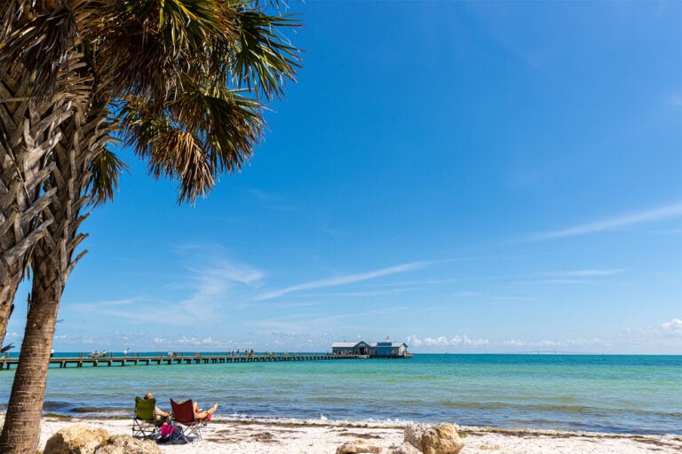 Amelia Island pier show in the distance from a palm-tree dotted beach.