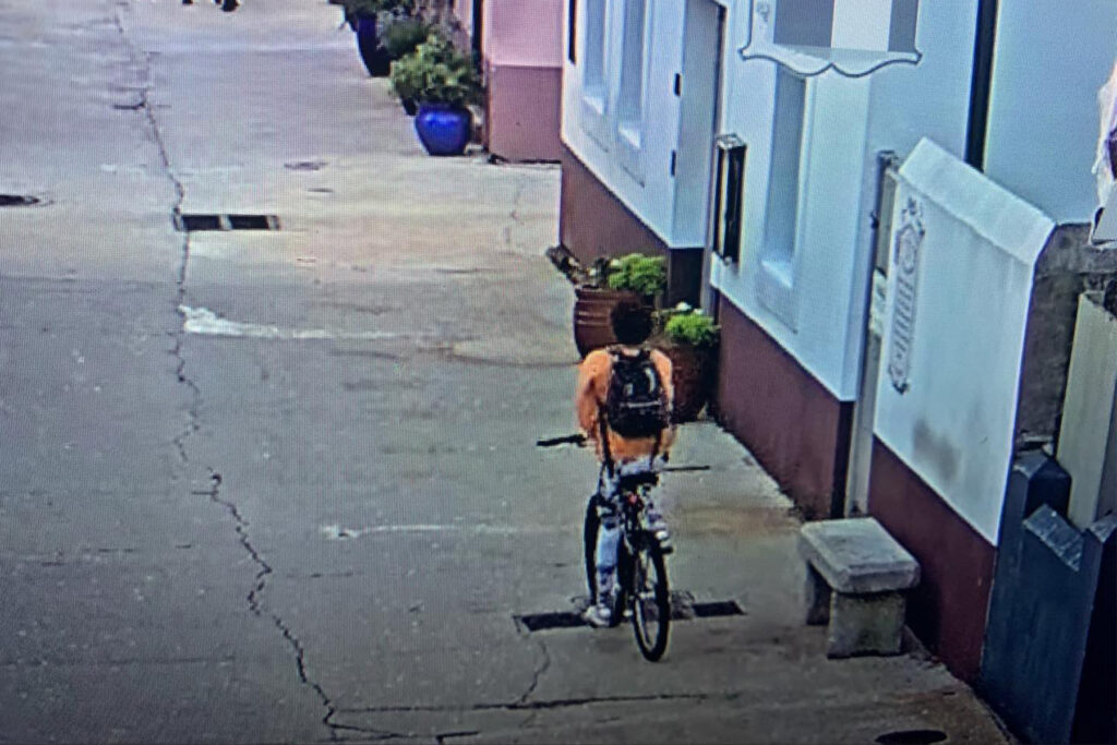 Woman wearing a backpack riding a bicycle shown from behind.