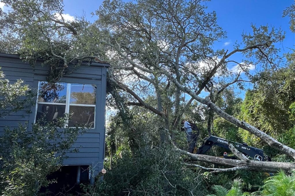 Sprawling tree collapsed on a blue house.