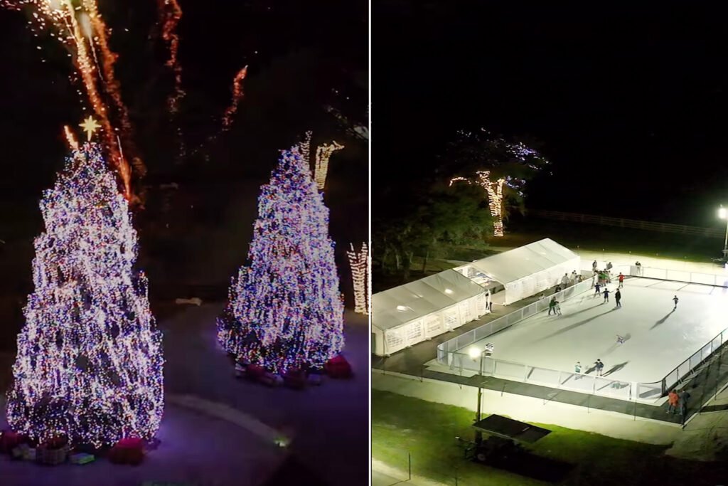 A split of Christmas trees and an ice skating rink.