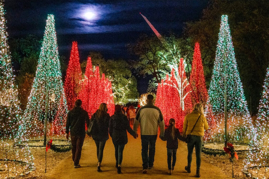 Tree illuminated with green and red lights.