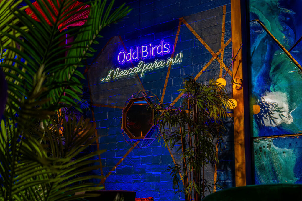 Odd Birds sign in neon.