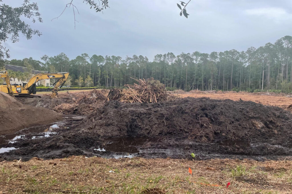 Picture of a clearing in Nocatee.