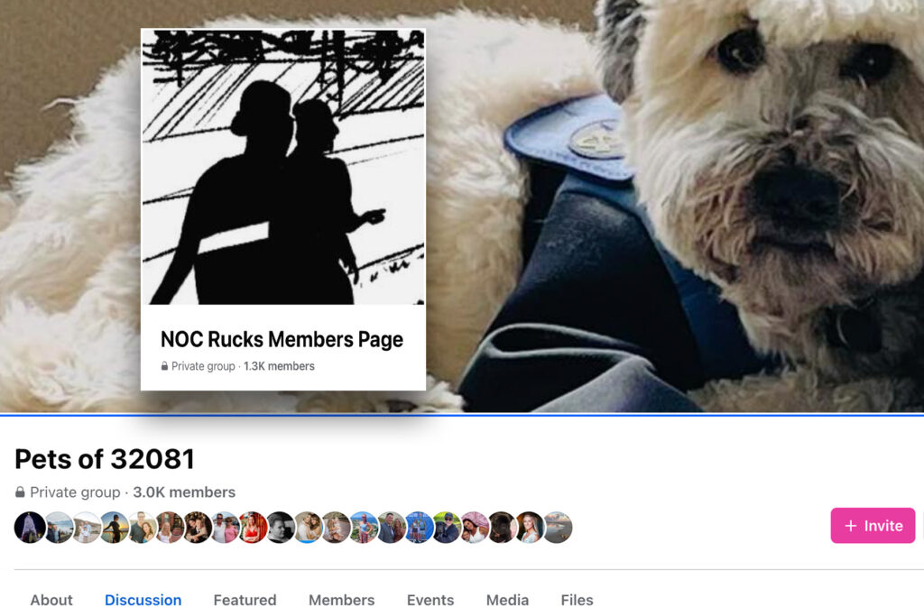 Facebook page banner with a white poodle.