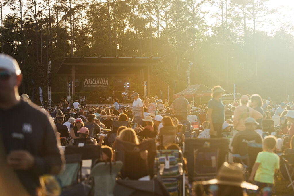 Picture of a music festival