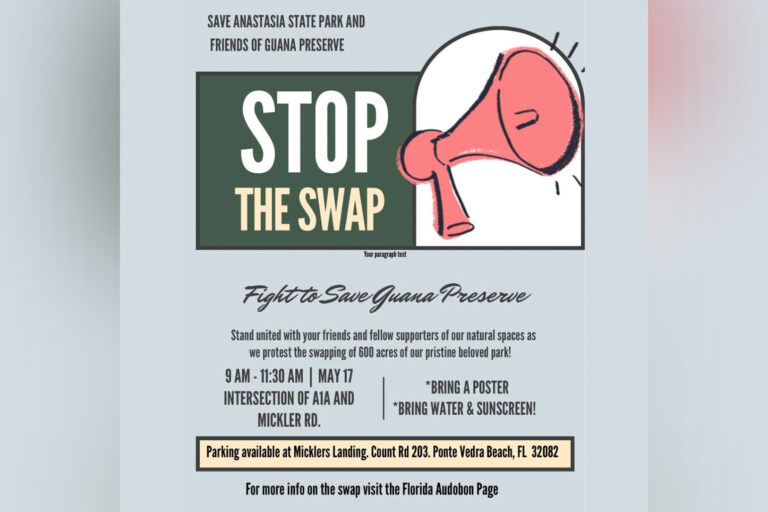 flyer for a protest