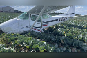 Crashed plane in cabbage field