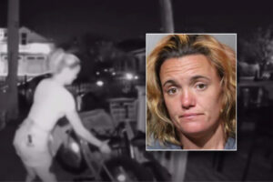 Mugshot and surveillance footage of thief