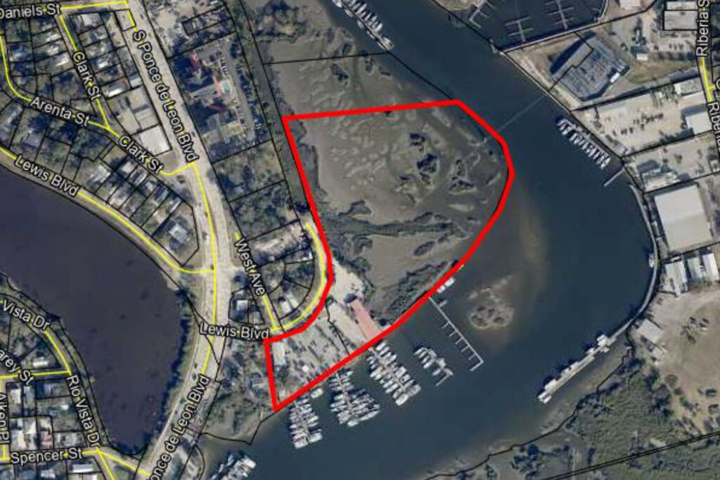 aerial shot of marina