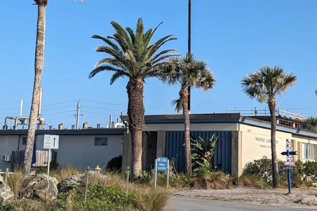 Florida buiding