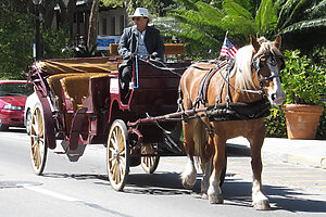 man in horse drawn carriage
